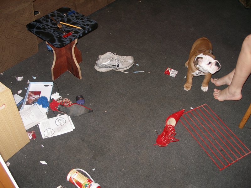 PA303367.JPG