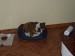 P1010009.JPG